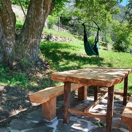Il Ciliegio Sul Lago Verceia Bagian luar foto
